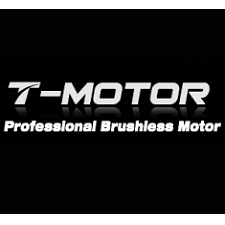 T Motor